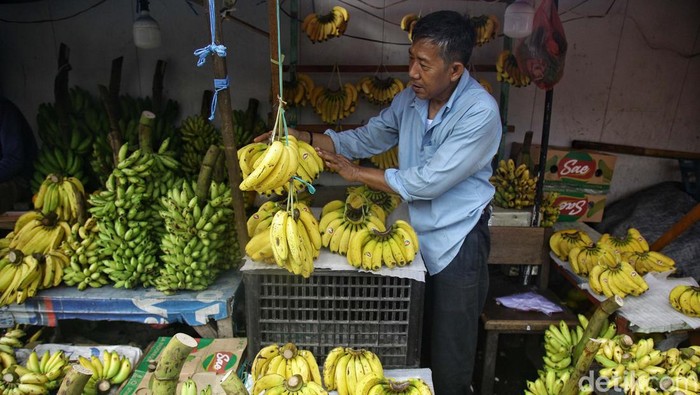 Buah Pisang, Favorit Selama Ramadan yang Sedang Langka di Pasaran Buah pisang banyak dikonsumsi selama Ramadan. Sayangnya pasokan pisang menurun karena faktor cuaca.