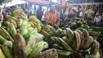 Buah Favorit Ramadan, Pisang Kini Langka di Pasaran