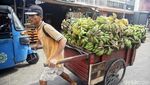 Buah Favorit Ramadan, Pisang Kini Langka di Pasaran