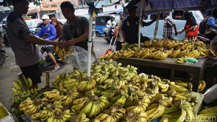 Buah Pisang, Favorit Selama Ramadan yang Sedang Langka di Pasaran Buah pisang banyak dikonsumsi selama Ramadan. Sayangnya pasokan pisang menurun karena faktor cuaca.