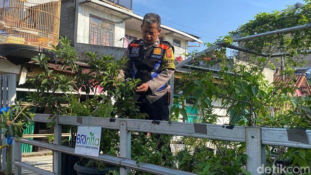 Buruan SAE Pajajaran, Kota Bandung