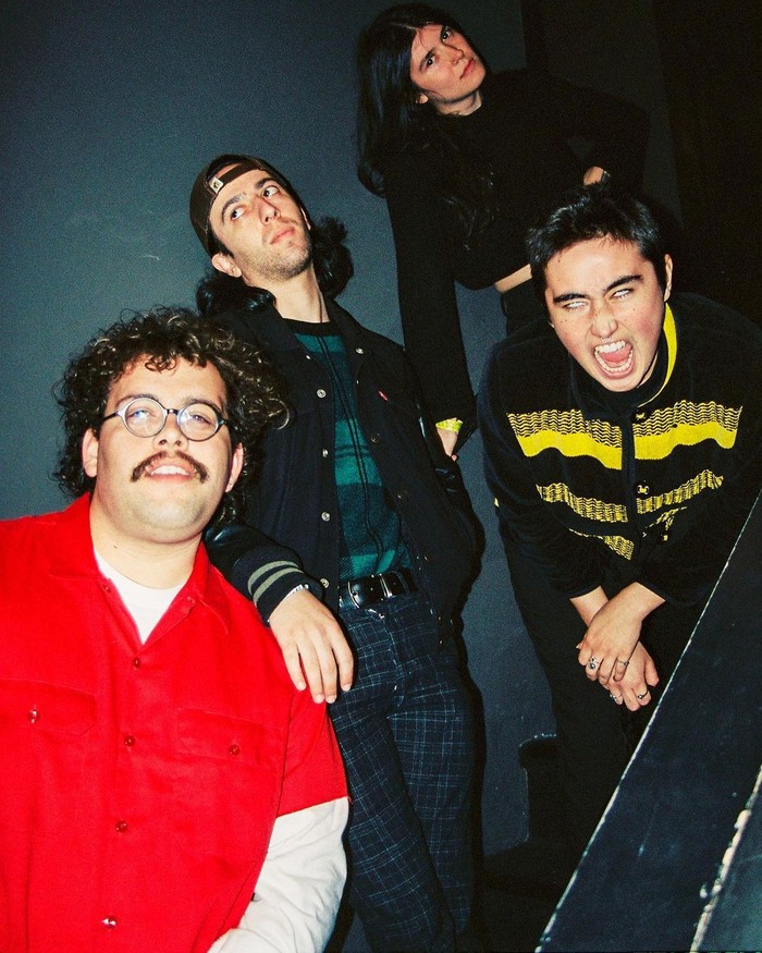 Band Punk Rock asal AS, Destroy Boys.