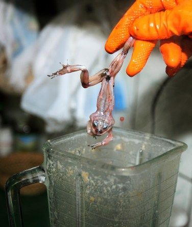 Ekstrem! 5 Makanan Ini Bikin Orang Diare hingga Tertantang Uji Nyali