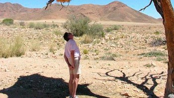 Sarang Raksasa di Namibia. Mungkin Struktur Paling Spektakuler yang Dibangun Oleh Burung Foto: Demilked