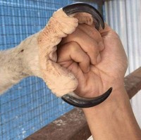 Foto Keunikan dari Seluruh Dunia