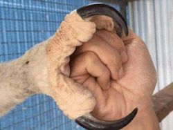 Foto Keunikan di Dunia yang Terabadikan Kamera, Ada Indonesia