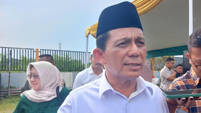Gubernur Kepri Ansar Ahmad (Alamudin Hamapu/detikSumut)