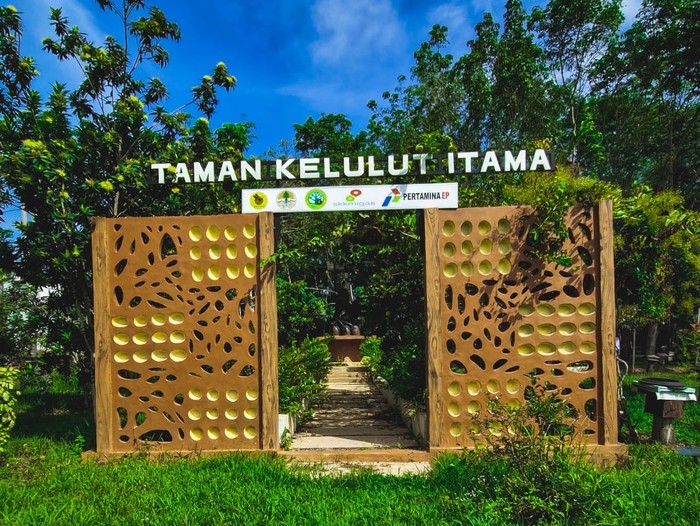 Kebun Kelulut Sangatta Kebun Kelulut Sangatta, Kaltim, detikers bisa menyesap madu langsung dari sarang lebah Trigona.