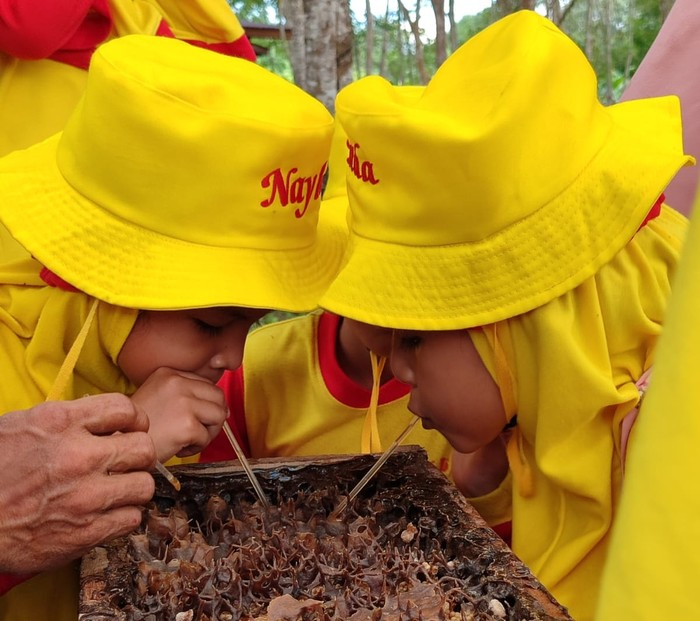 Kebun Kelulut Sangatta, Kaltim, detikers bisa menyesap madu langsung dari sarang lebah Trigona.
