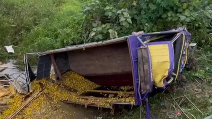 Kondisi truk muatan jeruk kecelakaan tunggal di Batanghari, Jambi