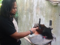 Bobol Tembok, Maling Kuras Swalayan di Bayat Klaten