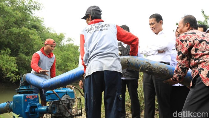 Mentan Andi Amran Sulaiman di bojonegoro
