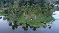 Objek wisata ini memiliki berbagai wahana, pemandangan alam hingga kuliner.  
