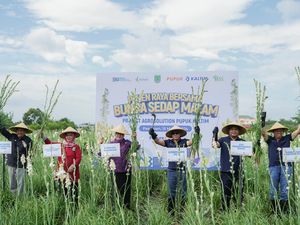 Panen Sedap Malam di Daerah Ini Meningkat, Petani Cuan Dobel Digit