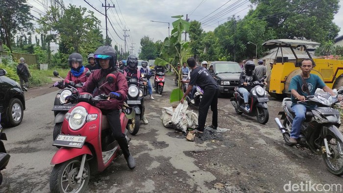 Pohon pisang ditanam warga di tengah jalan Kletek Sidoarjo yang berlubang