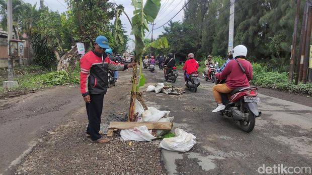 Pohon pisang ditanam warga di tengah jalan Kletek Sidoarjo yang berlubang