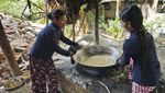 Senja Kala Pengumpul Nira di Kamboja