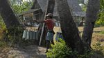 Senja Kala Pengumpul Nira di Kamboja