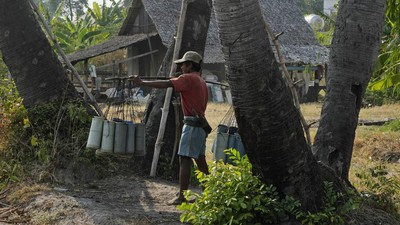 Senja Kala Pengumpul Nira di Kamboja