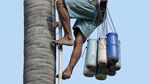 Senja Kala Pengumpul Nira di Kamboja