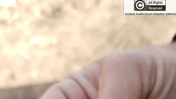Situs Nebi Zachariah merupakan rumah bagi komunitas Kristen dan Islam. Para arkeolog menemukan salib-salib yang dipahat pada batu-batu alat pemeras zaitun. Selain itu juga ditemukan timbangan kaca dengan tulisan Arab, yang digunakan untuk menimbang koin dengan presisi, dan sebagian prasasti Arab yang mungkin mengutip ayat Al-Quran. Gambar ini adalah cincin emas dengan batu lapis. Foto: Israel Antiquities Authority (IAA)