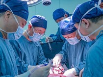 Mengulas Seputar Transplantasi Hati