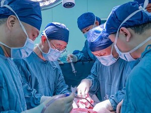 Pertama di Dunia, Ilmuwan China Berhasil Cangkok Organ Hati Babi ke Manusia