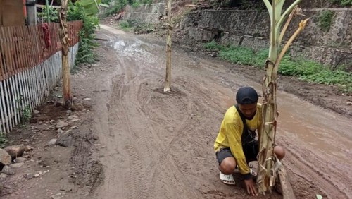 Warga menanam pohon pisang di tengah jalan rusak Desa Hidirasa, Kecamatan Wera, Kabupaten Bima, NTB, karena kesal tak kunjung diperbaiki, Senin (18/3/2024). (Istimewa)