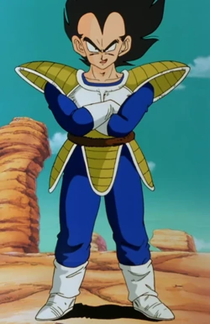5 Gaya Fashion Vegeta Dragon Ball