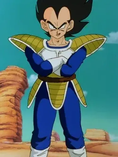 5 Gaya Fashion Vegeta Dragon Ball
