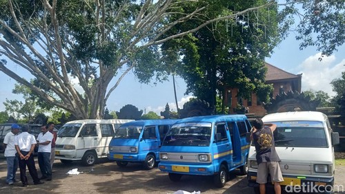 Sejumlah armada yang akan digunakan untuk program angkutan gratis di Jembrana. (I Putu Adi Budiastrawan).