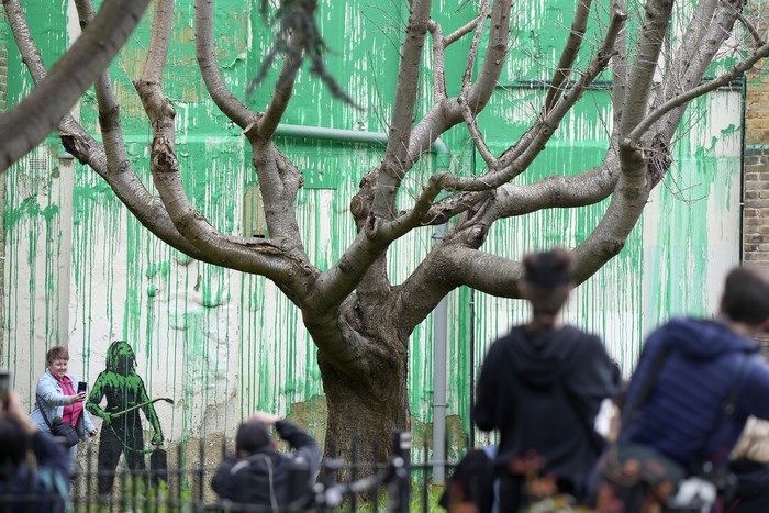 A woman takes a picture on her phone of a new Banksy painting on a wall in London, Monday, March 18, 2024. A new Banksy mural drew crowds to a London street on Monday, even before the elusive graffiti artist confirmed that the work was his. The artwork in the Finsbury Park neighborhood covers the wall of a four-story building and shows a small figure holding a pressure hose beside a real tree. Green paint has been sprayed across the wall, replicating the absent leaves of the tree, which has been severely cropped. Banksy claimed the work by posting before and after photos of the location on his official Instagram account.(AP Photo/Alastair Grant)
