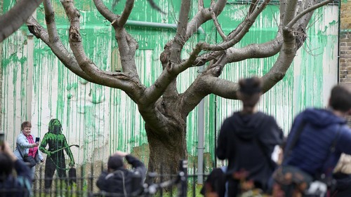 A woman takes a picture on her phone of a new Banksy painting on a wall in London, Monday, March 18, 2024. A new Banksy mural drew crowds to a London street on Monday, even before the elusive graffiti artist confirmed that the work was his. The artwork in the Finsbury Park neighborhood covers the wall of a four-story building and shows a small figure holding a pressure hose beside a real tree. Green paint has been sprayed across the wall, replicating the absent leaves of the tree, which has been severely cropped. Banksy claimed the work by posting before and after photos of the location on his official Instagram account.(AP Photo/Alastair Grant)