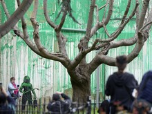 7 Karya Seni Kontroversi Banksy