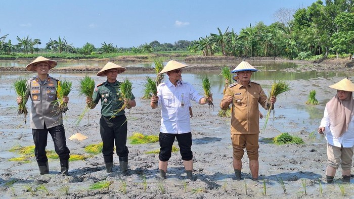 Bupati Lamongan dan Dirjen PSP Kementan