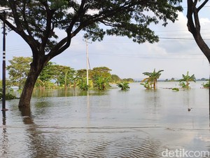 Komisi VIII DPR RI Minta Pemda di Jateng Data Sawah yang Kebanjiran