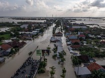 Terdampak Banjir di Jateng, Pengusaha Truk Ngaku Rugi Ratusan Juta