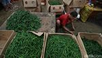 Harga Cabai Turun, Begini Hiruk-pikuk Pedagang di Pasar Kramat Jati