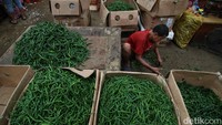 Menteri Perdagangan Zulkifli Hasan (Zulhas) mengungkapkan Indonesia belum banyak menggunakan sistem tanam cabai yang berbasis greenhouse. Hal itu membuat pasokannya sangat bergantung dengan cuaca.