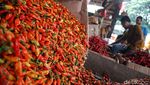 Harga Cabai Turun, Begini Hiruk-pikuk Pedagang di Pasar Kramat Jati