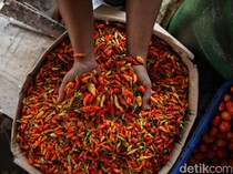 Ini 15 Cara Menghilangkan Panas di Tangan akibat Cabai