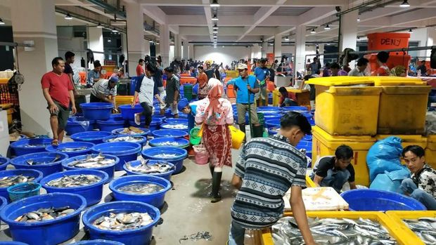Ilustrasi stok ikan jelang Idul Fitri. Ilustrasi stok ikan jelang Idul Fitri. (Dok. PT Perikanan Indonesia)