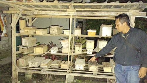 Lokasi pencurian lebah madu trigona di Dusun Batulayar Utara, Desa Batulayar, Kecamatan Batulayar, Lombok Barat, NTB. (Dok Polsek Batulayar)