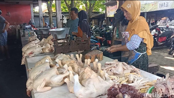 Pedagang ayam di Sumenep