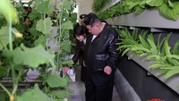 Kim telah mempelopori inisiatif pertanian untuk meningkatkan pasokan sayuran. 