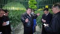 Pemimpin Korea Utara Kim Jong Un mengunjungi Rumah Kaca Gangdong di Korea Utara, dalam gambar yang dirilis pada 16 Maret 2024, oleh Kantor Berita Pusat Korea, KCNA.
