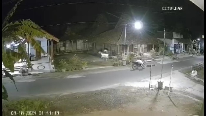 Rekaman CCTV maliing curi gabah warga di Ponorogo
