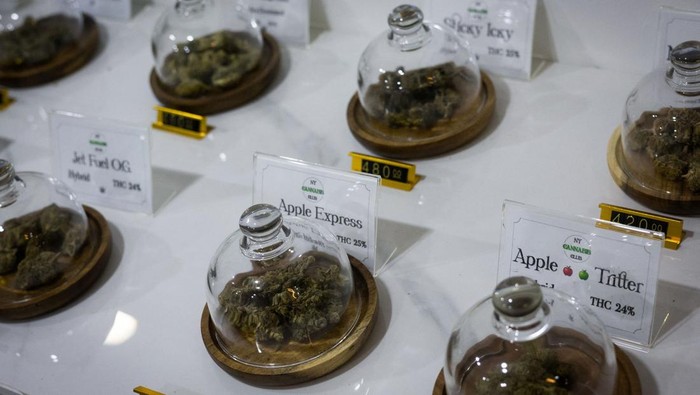 People smoke out of bongs during a speed contest to finish 3 grams, at the Green Party in Bangkok, Thailand, October 7, 2023. REUTERS/Jorge Silva TPX IMAGES OF THE DAY