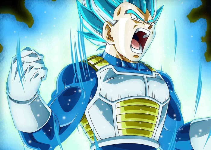 Vegeta Dragon Ball