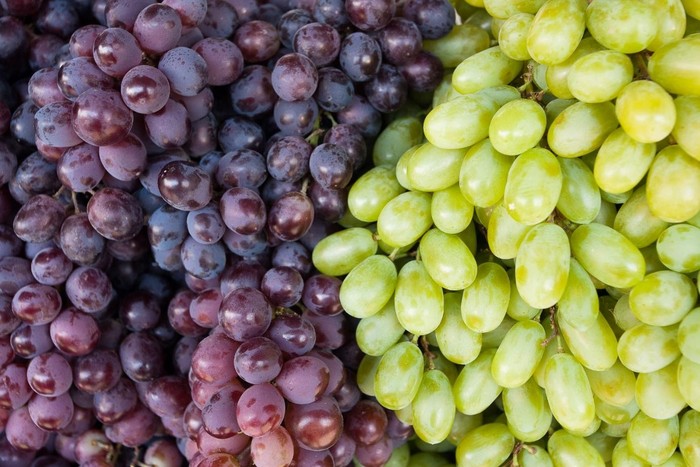 Sederet Fakta & Perbedaan Anggur Muscat dengan Anggur Merah